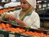 Invasi pomodori Marocco agricoltori agitazione
