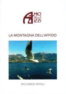 Recensione di La montagna dell’affido di Riccardo Ripoli