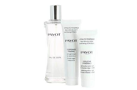 Payot