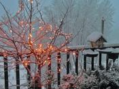 Buon Natale tutti!!!