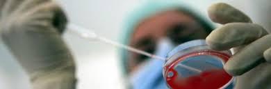 L’ovulo umano manipolato ma non fecondato può essere brevettato a fini industriali.