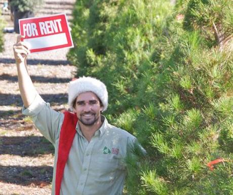 L’albero di Natale è bello, meglio se ecologico