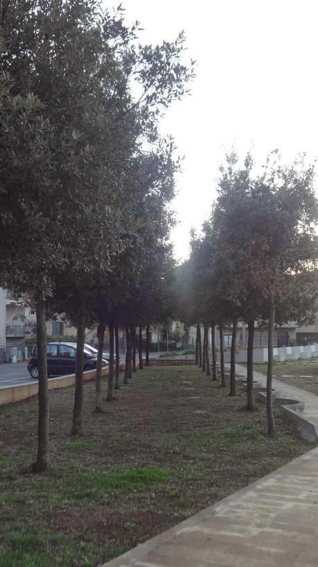 UNA PASSEGGIATA NELLA MEMORIA PROFONDA DI UN RAGAZZO DI PAESE.