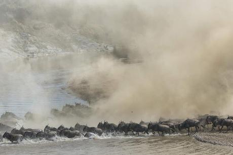 Barbara Dall’Angelo/www.tpoty.com  Masai Mara, Kenya