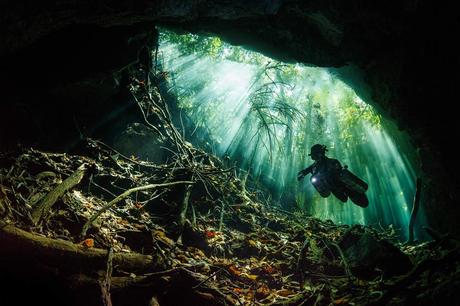 Terry Steeleyi/www.tpoty.com Taj Mahal Cenote, Riveria Maya, Mexico