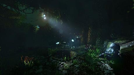 Soma entra in fase pre-beta, nuova immagine