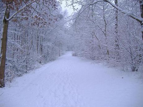 Era lei, la neve