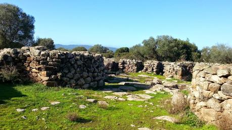 Archeologia in Sardegna. Le città dei nuragici: Serra Orrios, la nascita della città-mercato