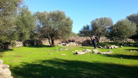 Archeologia in Sardegna. Le città dei nuragici: Serra Orrios, la nascita della città-mercato