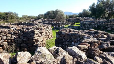 Archeologia in Sardegna. Le città dei nuragici: Serra Orrios, la nascita della città-mercato