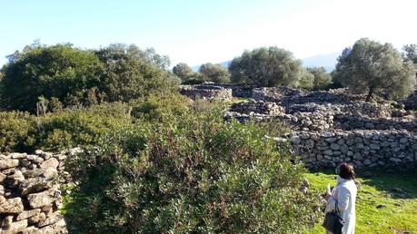 Archeologia in Sardegna. Le città dei nuragici: Serra Orrios, la nascita della città-mercato