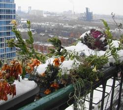 Meglio evitare le coltivazioni invernali!