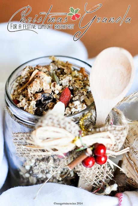 Christmas granola { sugarless }