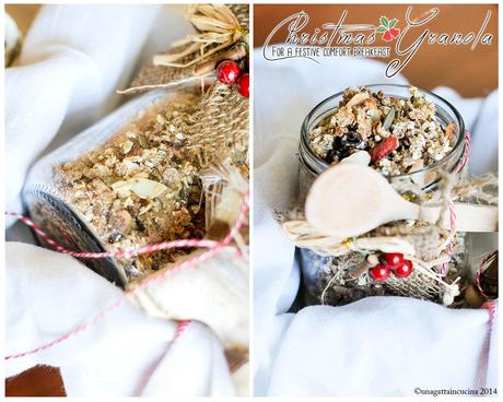 Christmas granola { sugarless }