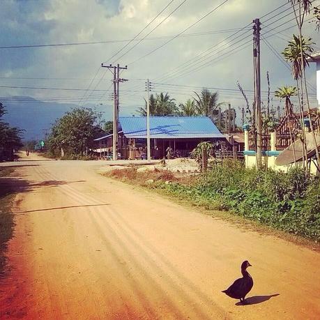 Impressioni di Laos