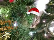 Buon Natale!