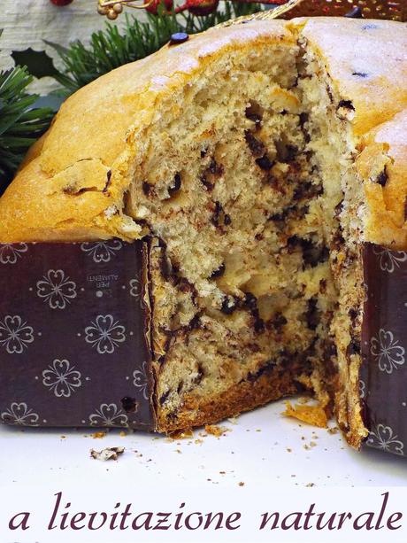 Panettone (stellato) con gocce di cioccolato