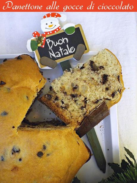 Panettone (stellato) con gocce di cioccolato