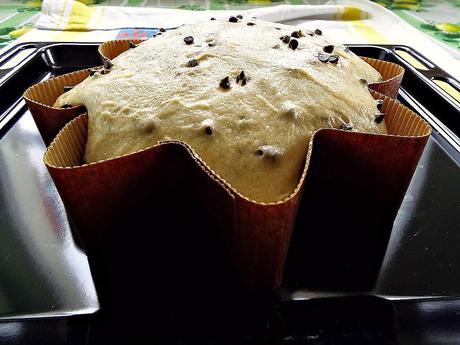 Panettone (stellato) con gocce di cioccolato