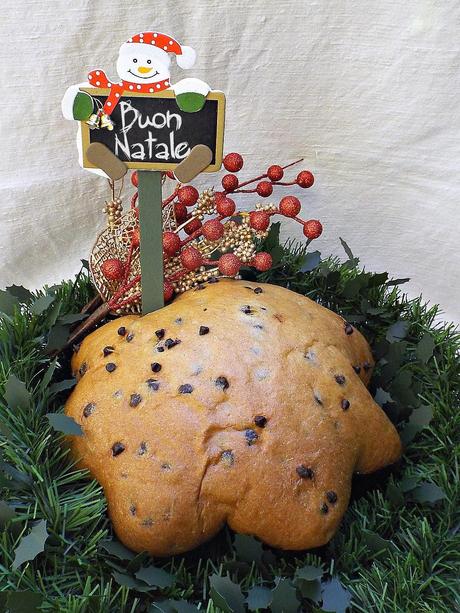 Panettone (stellato) con gocce di cioccolato