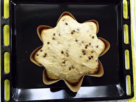 Panettone (stellato) con gocce di cioccolato