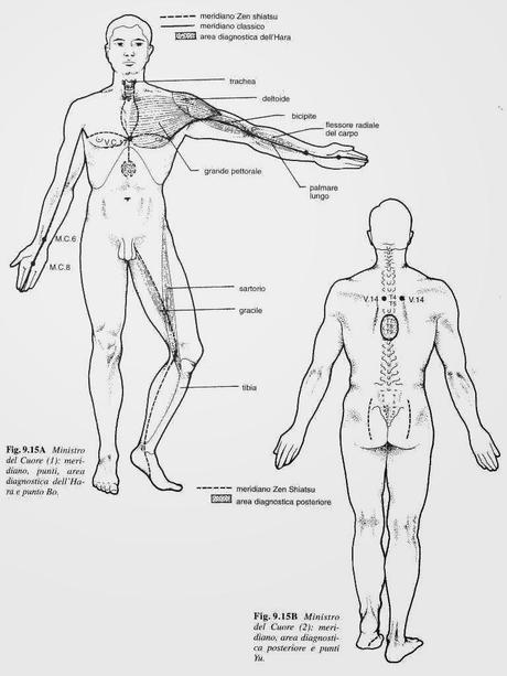 Salute fisica, denti e sport: pubalgie e infortuni ricorrenti, la questione degli ottavi (denti del giudizio)