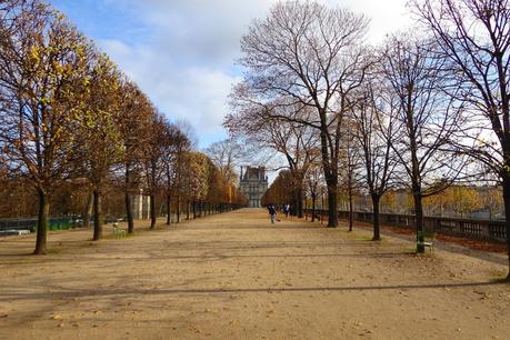 Christmas in Paris