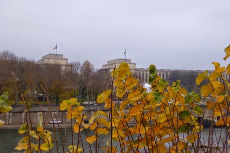 Christmas in Paris