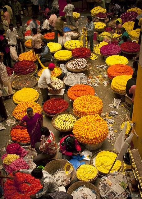 COLORS OF INDIA