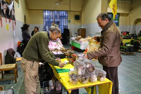 il mercato di Campagna Amica di Pisa