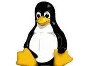 Linux Windows