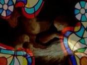 Tutti auguri… ritrovamento