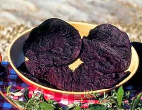 Rottorino, roventino, rusco e foghie, sa a di d'inda ! Parole e verbi in disuso