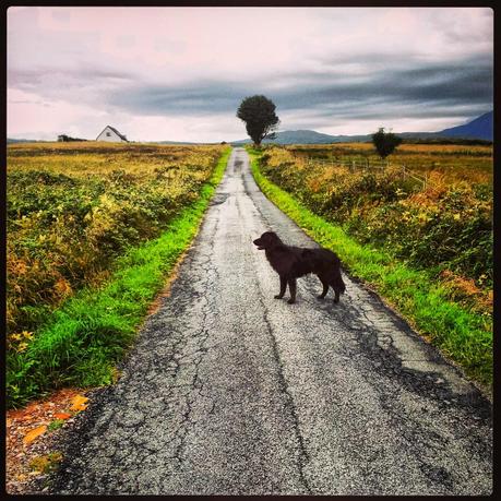 Isola di Skye - Black Cat Souvenirs