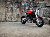 Ducati "Screw Driver" Shed-X Customs