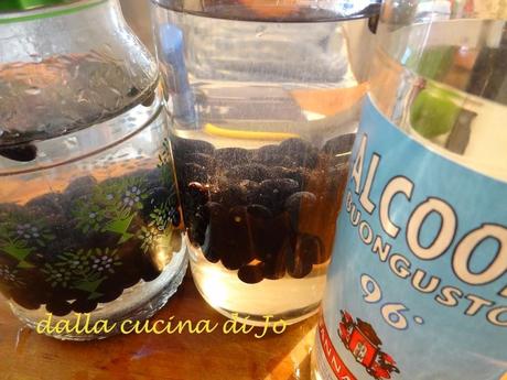 Laurino, liquore di bacche di alloro