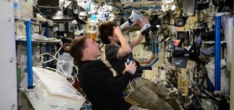 Con l'oftalmoscopio gli astronauti hanno ripreso immagini dei loro occhi. Qui Samantha e Terry. Crediti: NASA/ESA