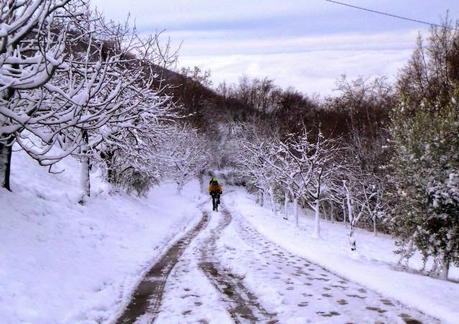 #mtb #28122014 #neve #freddo #finalmenteinvernovero