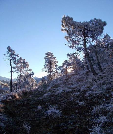 Domenica 28 dicembre: il Tobbio dagli Eremiti