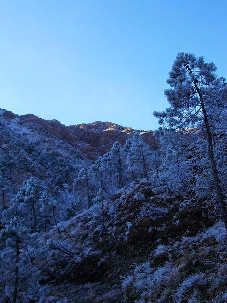 Domenica 28 dicembre: il Tobbio dagli Eremiti