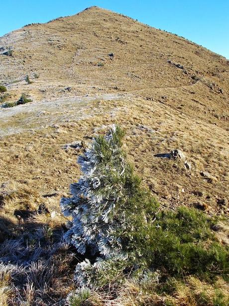 Domenica 28 dicembre: il Tobbio dagli Eremiti