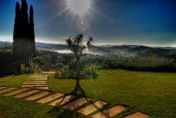 giardino d'autunno