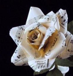 La nostra rosa di carta