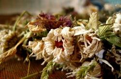 Mazzo di fiori secchi