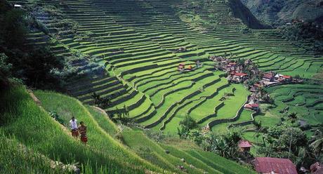 Banaue-Rice-Terraces-950x514