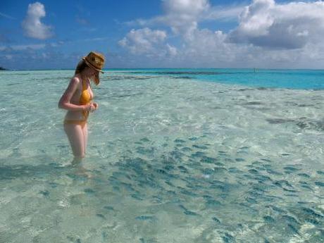 Isole Cook Aitutaki