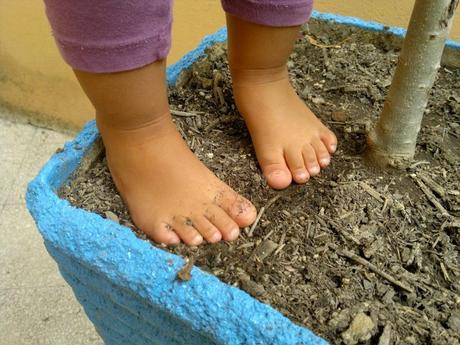 Scarpe del battesimo, scazzottare, sciabordito, scoglionato, scrio scrio | Parole e verbi in disuso