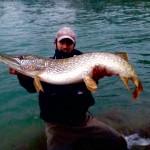 Luccio Record Big Pike Over Metro Pietro Invernizzi