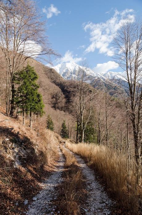 SENTIERO DI MATTEO ... in attesa del 2015