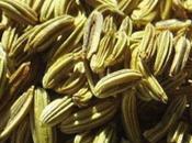 semi carminativi Finocchio, aiuto stomaco intestino